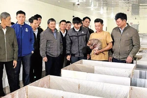 Mô hình nuôi dúi của ông Trần Văn Toàn được nhiều người đến tham quan học tập và được địa phương khuyến khích nhân rộng.