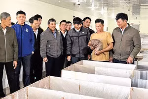 Mô hình nuôi dúi của ông Trần Văn Toàn được nhiều người đến tham quan học tập và được địa phương khuyến khích nhân rộng.