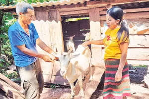 Chị Hồ Thị Dắt thường xuyên đến từng nhà dân, động viên bà con vượt khó vươn lên.