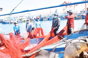 Ngư dân tất bật chuẩn bị ngư cụ ra khơi.