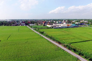 Phát triển kinh tế tại các vùng nông thôn mới