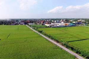 Khung cảnh bình yên tại một vùng nông thôn thuộc xã Long Hưng, tỉnh Hưng Yên.