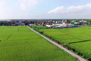 Khung cảnh bình yên tại một vùng nông thôn thuộc xã Long Hưng, tỉnh Hưng Yên.