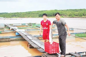 Các hộ dân nuôi cá lồng bè trên lòng hồ thủy điện Cần Đơn, xã Đa Kia, tỉnh Đồng Nai.