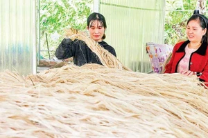 Một số sản phẩm từ sợi chuối đã được xuất khẩu sang thị trường nước ngoài, góp phần tạo đầu ra ổn định.