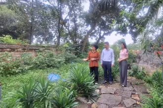 Giới thiệu vườn cây thuốc nam trong khuôn viên Đền Thánh Nguyễn ở xã Tiến Thắng, huyện Gia Viễn (Ninh Bình).