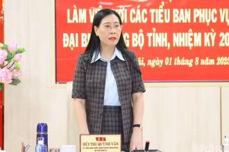 Đồng chí Bùi Thị Quỳnh Vân, Ủy viên Trung ương Đảng, Bí thư Tỉnh ủy Quảng Ngãi phát biểu chỉ đạo tại buổi làm việc.