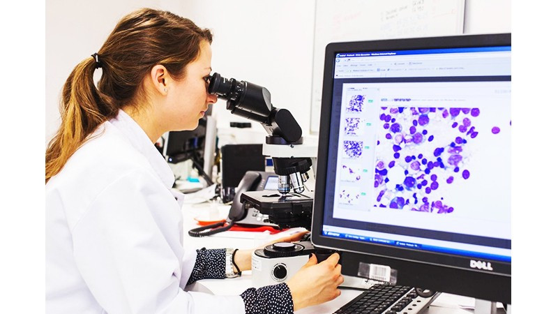 Nghiên cứu điều trị bệnh bạch cầu lymphocytic mãn tính. Ảnh: ALARMY