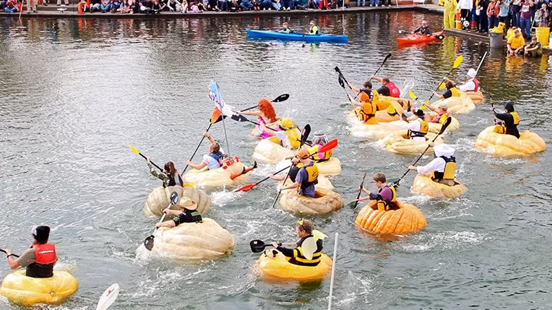 Cuộc đua thuyền bí ngô