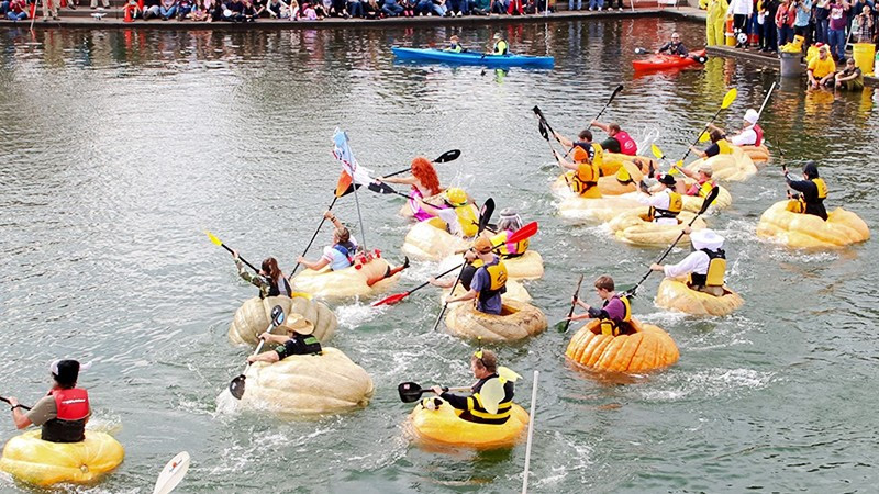 Cuộc đua thuyền bí ngô