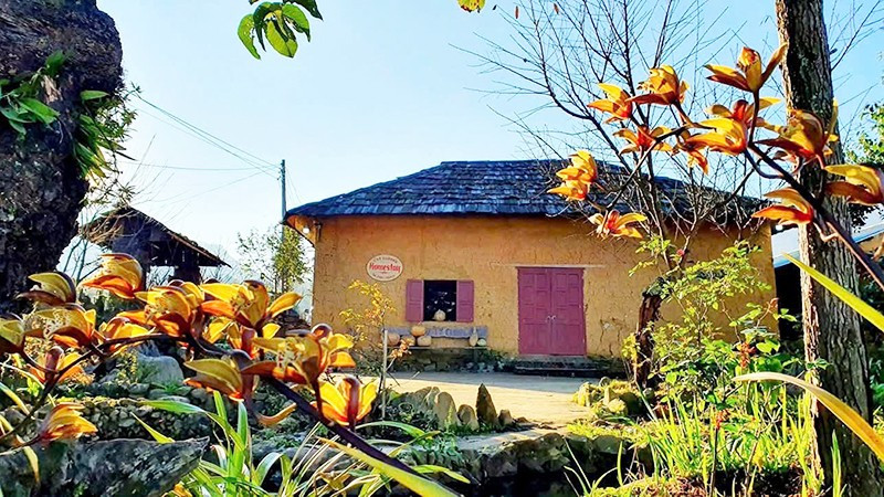 Căn nhà trình tường của Xuy