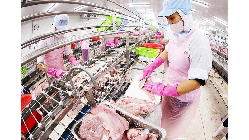 Nông sản và thủy hải sản nhiều khả năng được xem xét hưởng ưu đãi trong khuôn khổ “đối tác tương đồng”. Ảnh: TTXVN 