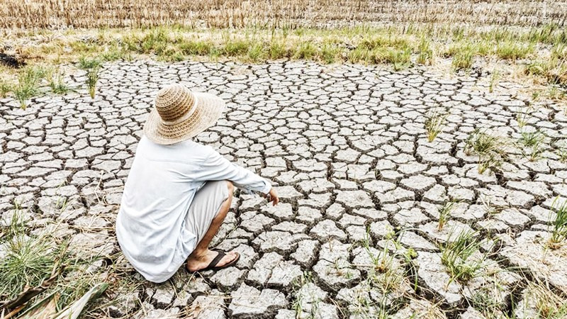 Ngành nông nghiệp của châu Á chịu thiệt hại nặng do hạn hán. Ảnh: SHUTTERSTOCK
