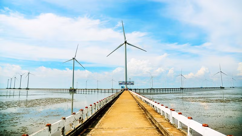 Cánh đồng điện gió ở Bạc Liêu. Ảnh: EVN