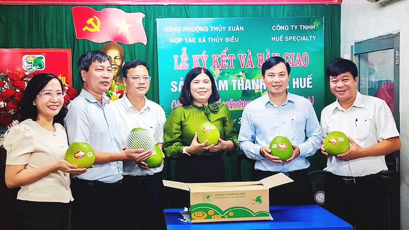 Đại diện các bên tại lễ ký kết hỗ trợ tiêu thụ thanh trà VietGAP Huế cung cấp cho siêu thị.