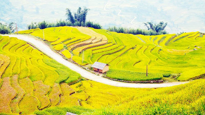 Việt Nam lọt vào danh sách 28 quốc gia đẹp nhất thế giới. Ảnh: ANH QUÂN