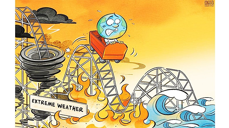 Biếm họa: SONG CHEN