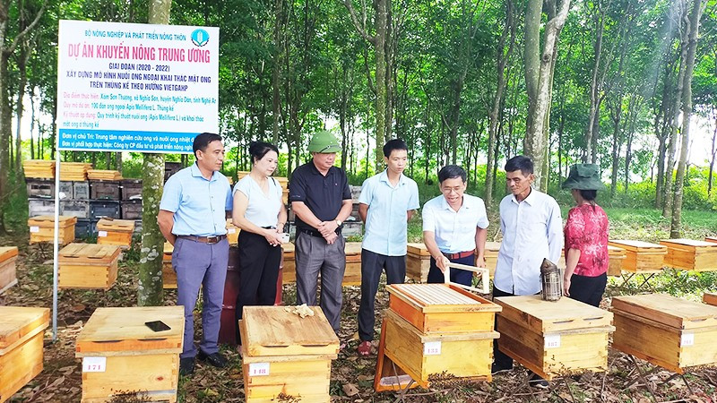 Chi bộ 4 tốt thôn Đông Nam là mô hình tiêu biểu, có sức lan tỏa cao tại địa bàn.