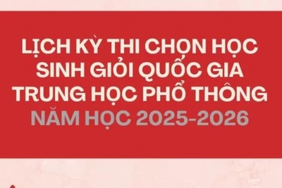 [Infographic] Lịch Kỳ thi chọn học sinh giỏi quốc gia trung học phổ thông năm 2025