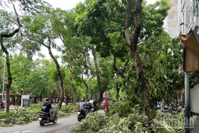 (Ảnh minh họa: THÙY LINH)