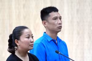Vợ chồng Nguyễn Thị Thơm, Đỗ Xuân Linh tại tòa. (Ảnh: Lê Đình Thìn)