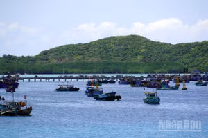 Tàu cá của ngư dân neo ở vịnh Bến Đầm, Côn Đảo, Thành phố Hồ Chí Minh. (Ảnh: Lê Đình Thìn)
