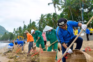 Công nhân Công ty Vesco dọn lục bình ở Bãi Trước, phường Vũng Tàu.