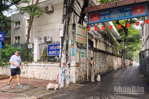 Đường vào hẻm 105 Lê Lợi, phường Vũng Tàu - nơi bản đồ quy hoạch vẽ nhầm đất ở thành đất cơ quan. 
