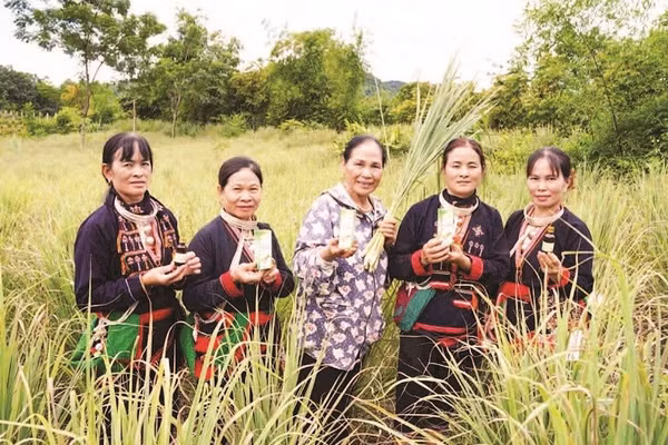 Bà Nguyễn Thị Bình (người đứng giữa) cùng các thành viên hợp tác xã tại cánh đồng sả bản Dao, xã Thống Nhất.