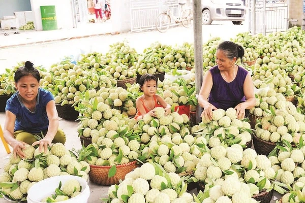 Chợ na Nghĩa Phương nhộn nhịp mỗi sáng.