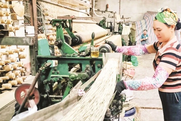 Chiếu cói An Vũ dày, mềm, dẻo rất được khách hàng ưa chuộng.