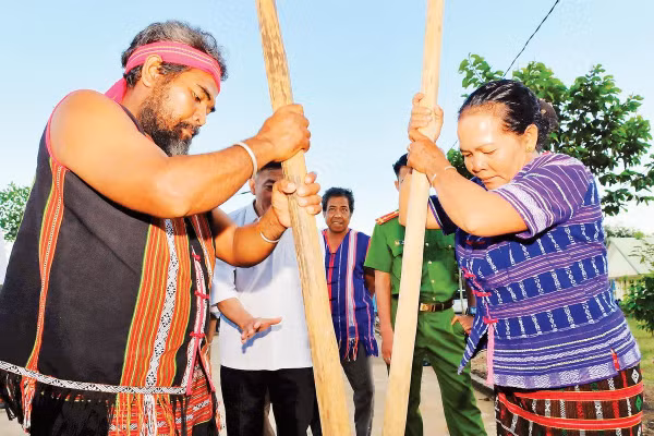 Đồng bào Xtiêng ở xã Tân Hưng, thành phố Đồng Nai thi giã gạo chày tại ngày hội Mừng lúa mới.