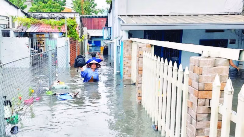 Biến đổi khí hậu, triều cường tạo nên các hiện tượng thời tiết cực đoan, trong đó có tình trạng ngập, lụt tại nhiều khu vực trên địa bàn Thành phố Hồ Chí Minh.