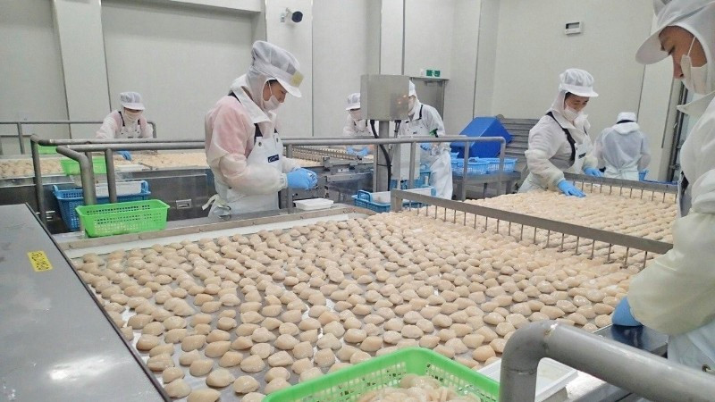 Người lao động Việt Nam vốn chăm chỉ, song cần nâng cao chất lượng tay nghề để có thể vươn đến phân khúc thu nhập cao.