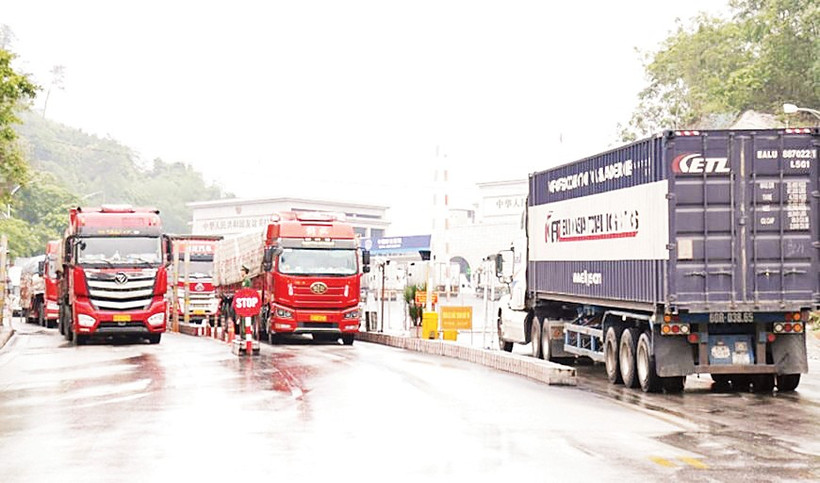 Các xe container chở hàng hóa nông sản thông quan tại Cửa khẩu quốc tế Hữu nghị (Lạng Sơn) ngày 5/2. (Ảnh MAI PHƯƠNG)
