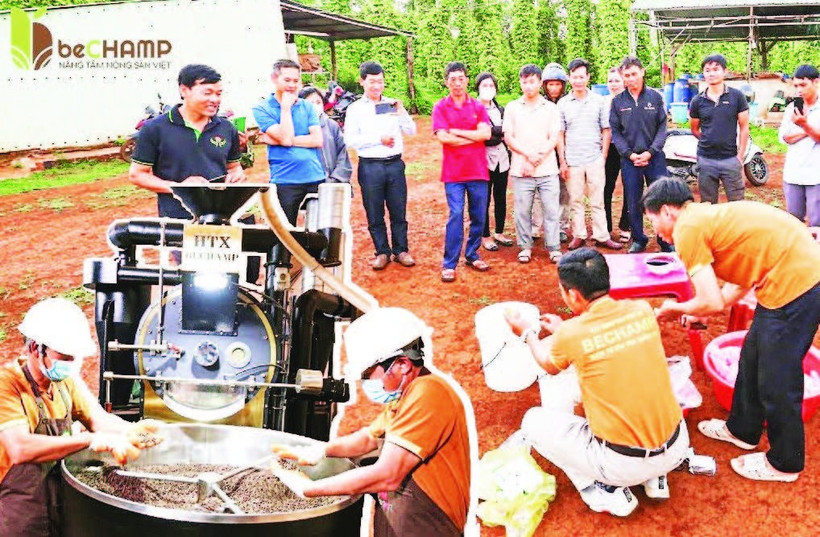 Hợp tác xã Bechamp Đắk Nông tổ chức tập huấn cho các thành viên về quy trình chế tạo, sử dụng các loại phân, thuốc hữu cơ trong sản xuất cà-phê hữu cơ...