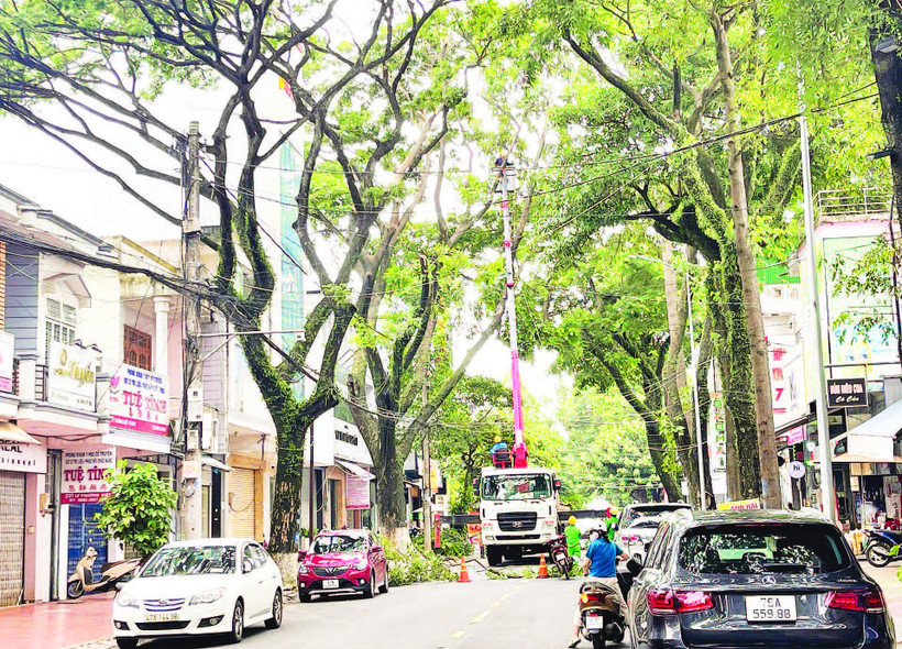 Công nhân Công ty cổ phần Đô thị và Môi trường Đắk Lắk tổ chức cắt tỉa tán cây xanh trên đường Lý Thường Kiệt, thành phố Buôn Ma Thuột bảo đảm an toàn trong mùa mưa năm 2025.