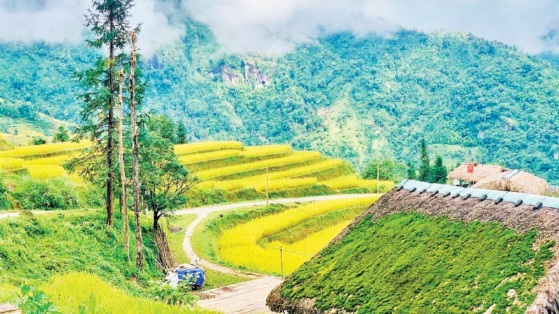 Như một miền cổ tích.