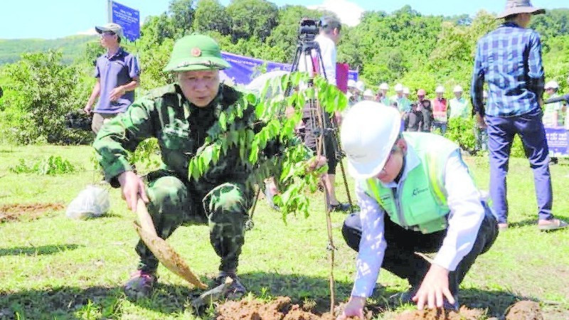 Công ty cổ phần xây dựng Coteccons trồng rừng bằng cây bản địa ở bản Kè, xã Tuyên Lâm, tỉnh Quảng Trị.