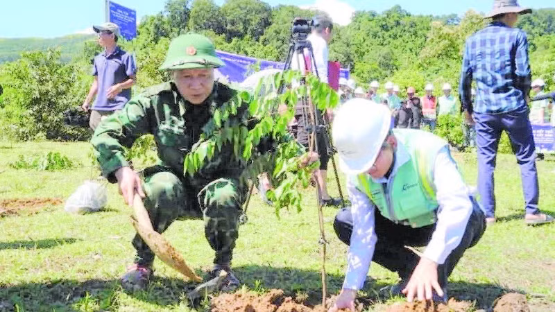 Công ty cổ phần xây dựng Coteccons trồng rừng bằng cây bản địa ở bản Kè, xã Tuyên Lâm, tỉnh Quảng Trị.