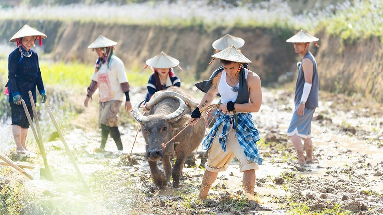 Các nghệ sĩ trong một buổi cày ruộng trong chương trình truyền hình thực tế về nông thôn-“Gia đình Haha".