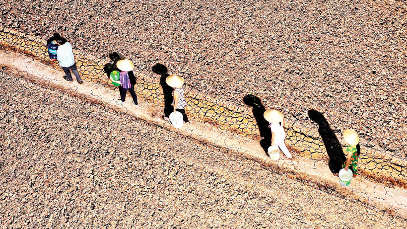 Ảnh hưởng bởi thời tiết, biến đổi khí hậu, nhiều vùng nông thôn tại Cà Mau thiếu nước ngọt trầm trọng vào mùa khô. (Ảnh NSNA Nguyễn Thanh Dũng)