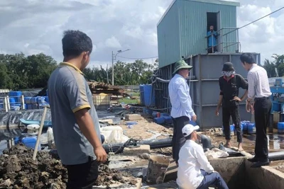 Kiểm tra việc khắc phục ô nhiễm môi trường tại bãi rác An Hiệp. (Ảnh: HOÀNG TRUNG)