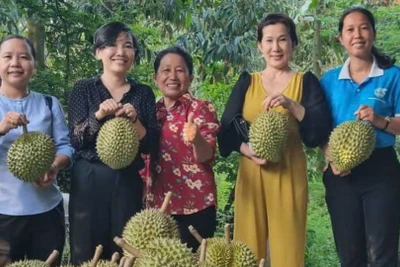 Hợp tác xã Nông nghiệp Tân Phú phát triển sản phẩm OCOP 4 sao từ quả sầu riêng. (Ảnh: HOÀNG TRUNG)