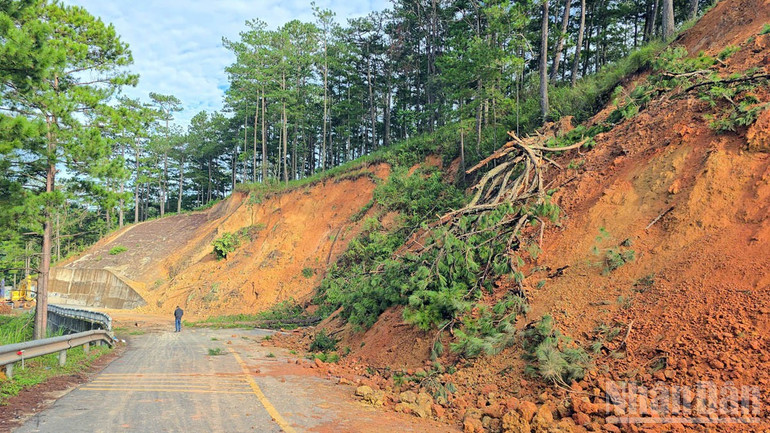 Vị trí sạt lở đèo D’Ran tại khu vực cầu Treo trên Quốc lộ 20, lượng lớn đất đá, cây cối sạt xuống mặt đường. ndo_br_10.jpg