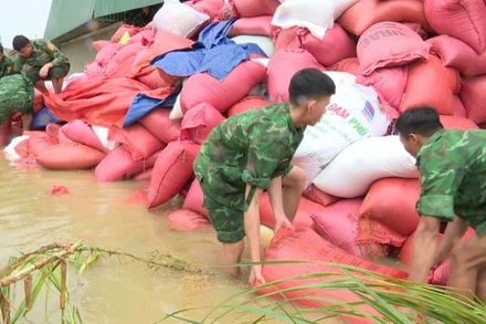 Bộ Nông nghiệp và Môi trường đề nghị Ủy ban nhân dân các tỉnh, thành phố ven biển từ Quảng Ninh đến Lâm Đồng theo dõi chặt chẽ bản tin dự báo, cảnh báo về vùng áp thấp trên biển Đông. (Ảnh: minh họa, nhandan.vn)