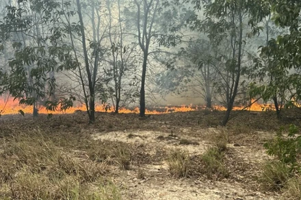 Đám cháy bùng phát, gây thiệt hại 9ha rừng.