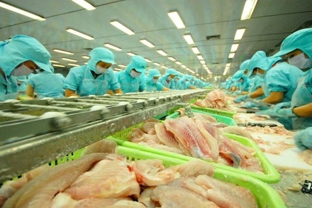 Bộ Thương mại Hoa Kỳ chính thức miễn thuế chống bán phá giá đối với 7 doanh nghiệp xuất khẩu cá tra Việt Nam trong kỳ rà soát POR20. (Ảnh minh họa)