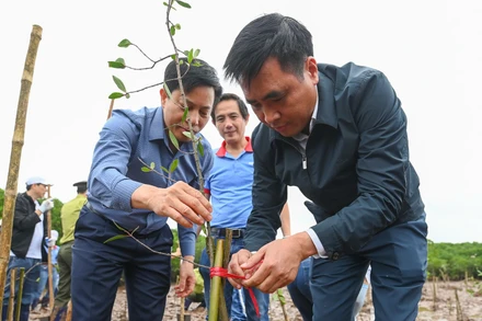 Thứ trưởng Bộ Nông nghiệp và Môi trường Nguyễn Quốc Trị trồng cây tại sự kiện.