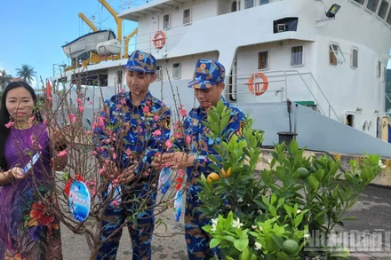 Những cây quất đào mang mùa Xuân đến với các cán bộ chiến sĩ và nhân dân hai đặc khu Cồn Cỏ và Lý Sơn.